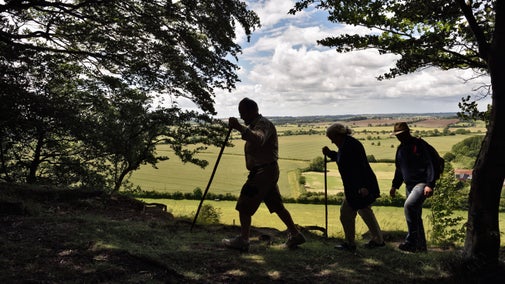 The silhouette of three people walking, using walking poles with fields in the background